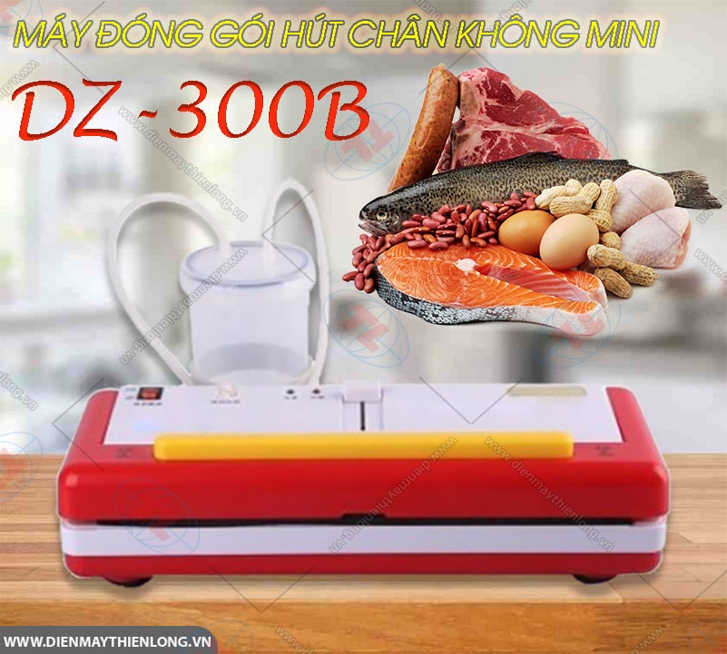 may-hut-chan-khong-gia-dinh-dz-300b