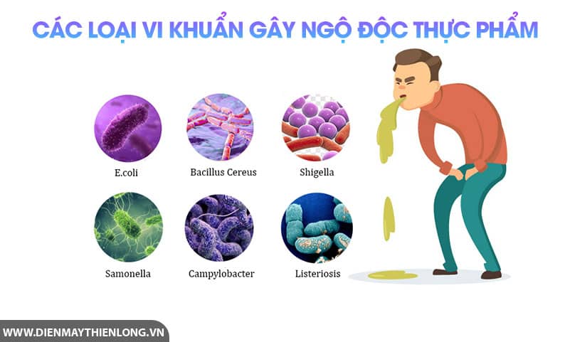 cac-loai-vi-khuan-gay-ngo-doc-thuc-pham
